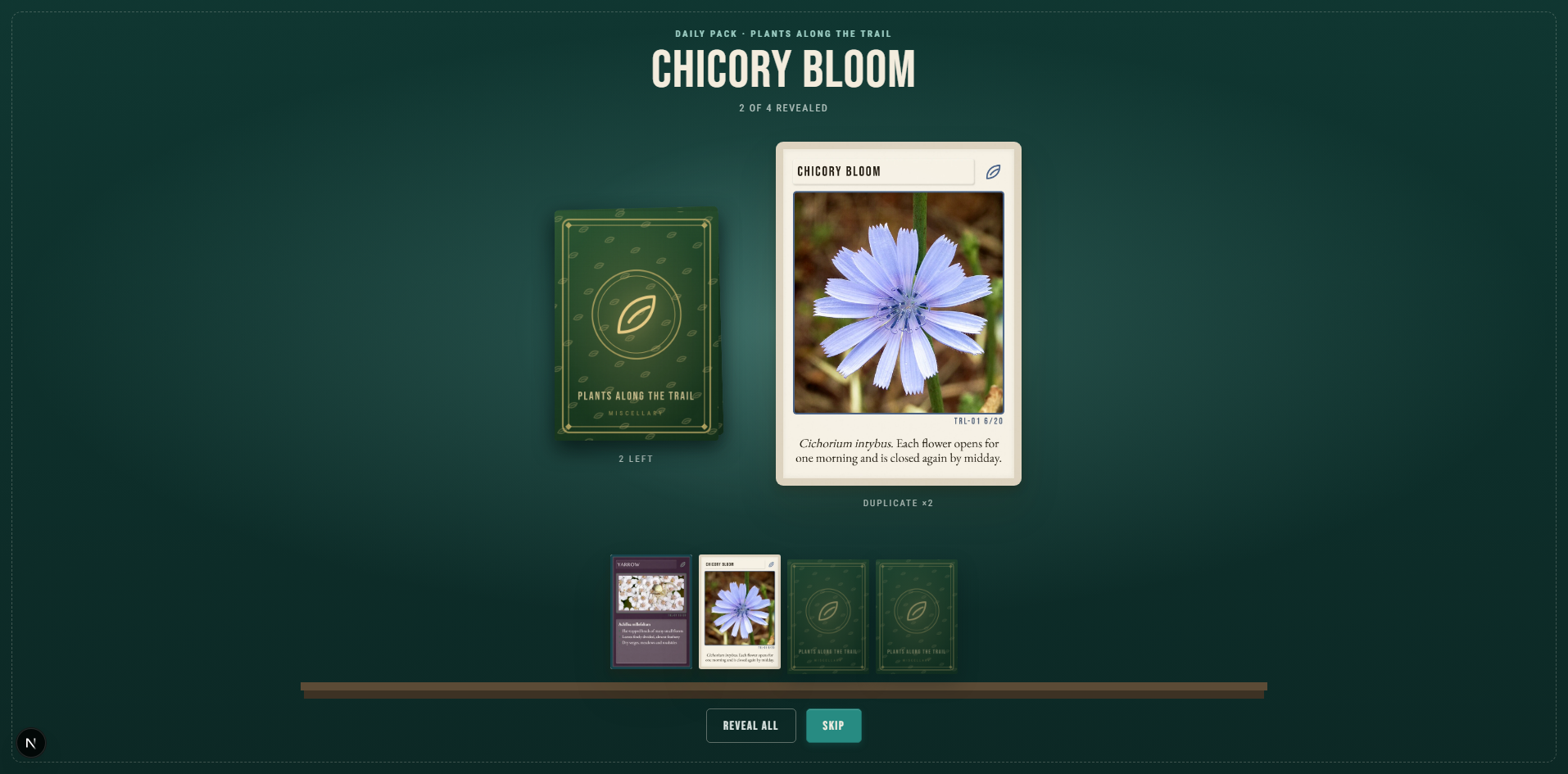 Miscellary flower pack reveal in progress