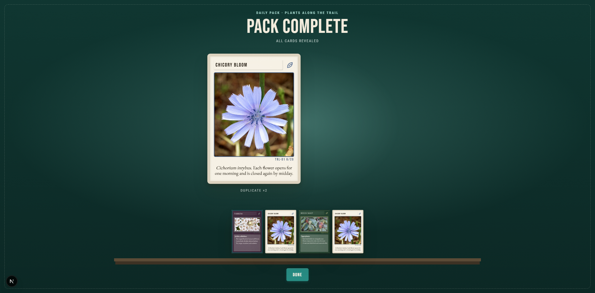 Miscellary completed flower pack opening